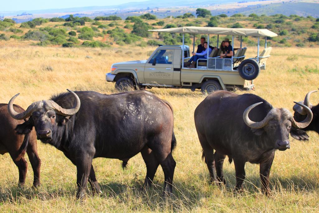 Botlierskop Bush Villas Sandhoogte Exterior foto