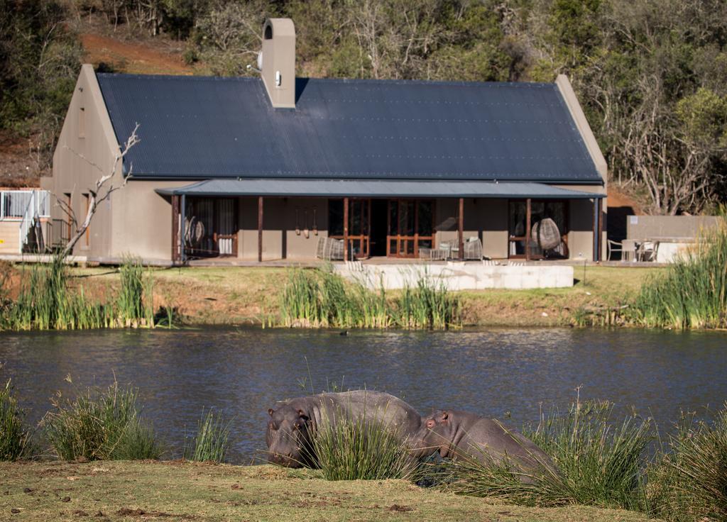 Botlierskop Bush Villas Sandhoogte Exterior foto