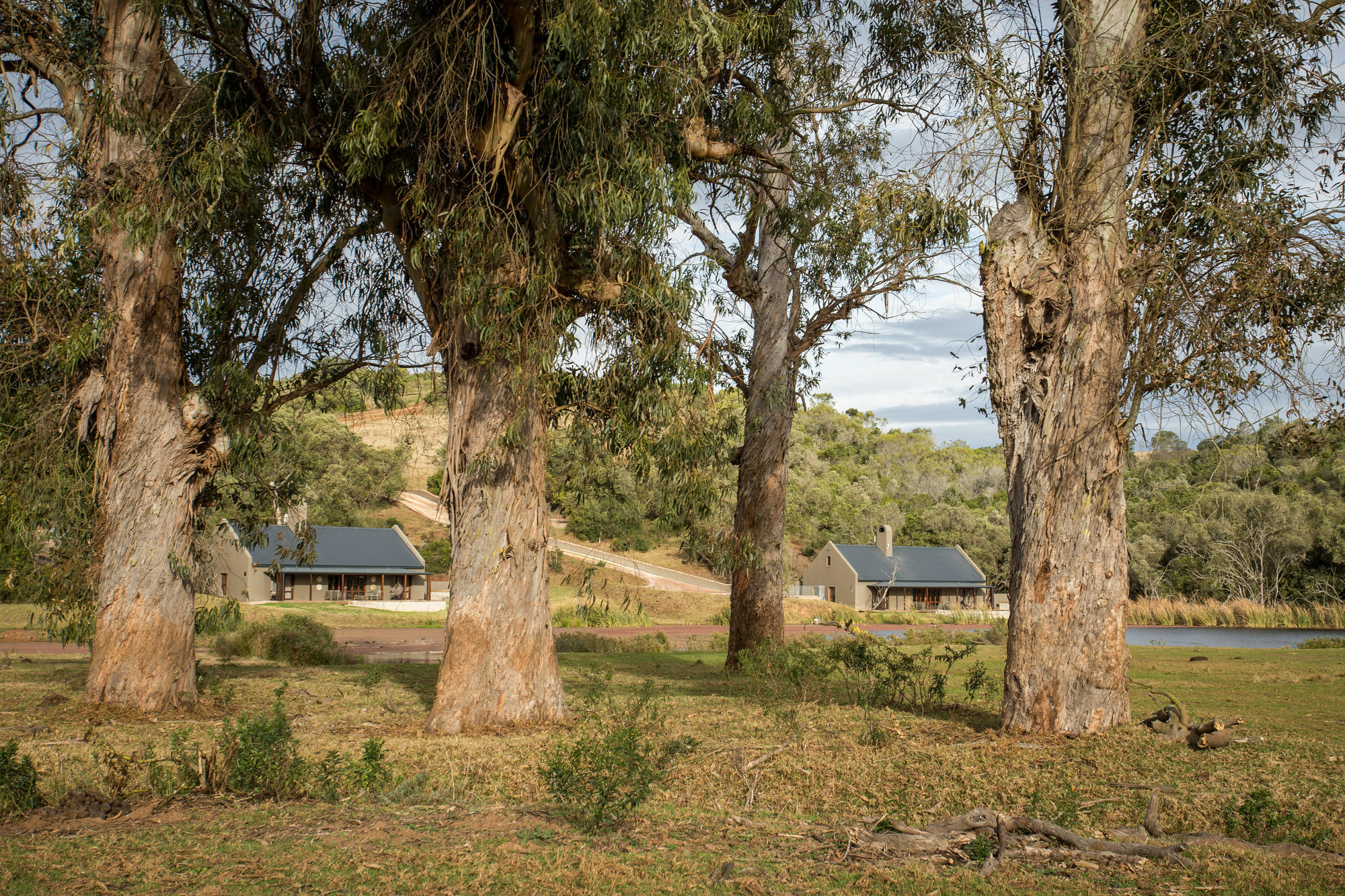 Botlierskop Bush Villas Sandhoogte Exterior foto